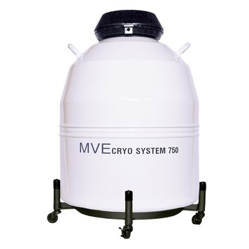 Кріосистема MVE 750 MVE 750 фото